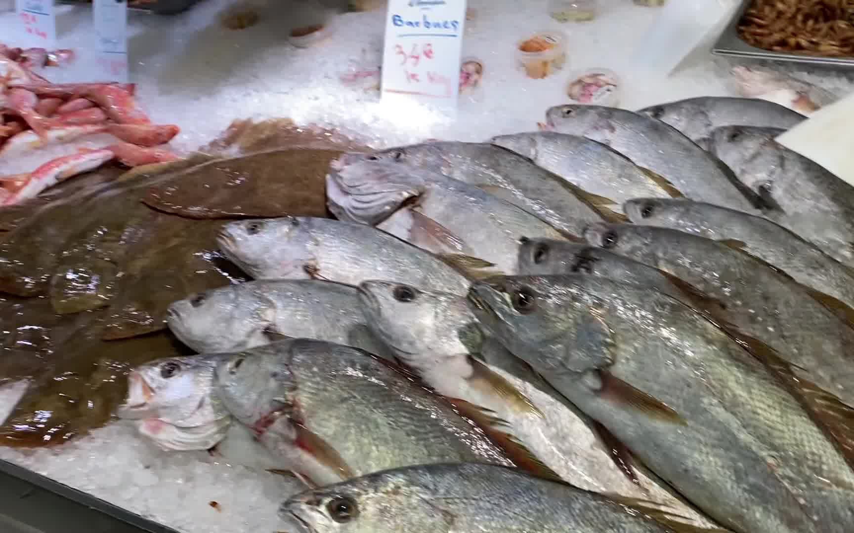 法国阿卡雄Arcachon,眼睁睁看着生蚝没有下嘴,都进了停车场还是错过了皮拉沙丘|20210719哔哩哔哩bilibili