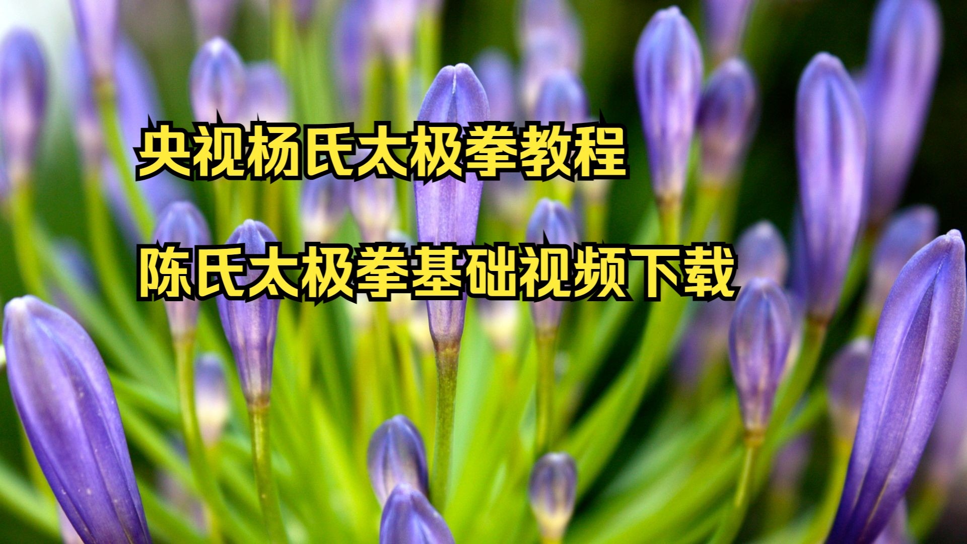 吴阿敏养生太极棍教学视频(吴阿敏养生太极杖第三段第三讲)