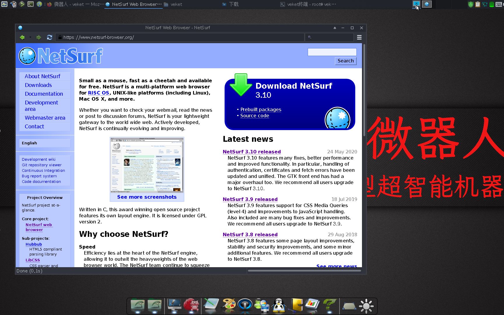 1M大还有独立内核的浏览器,轻量级跨平台Web浏览器NetSurf哔哩哔哩bilibili