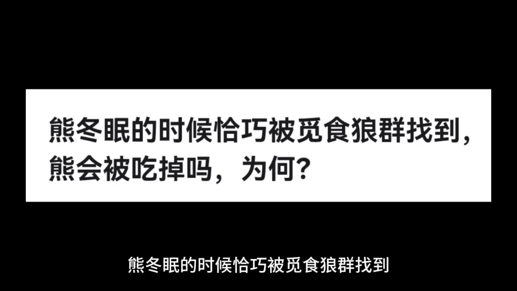 熊冬眠的时候恰巧被觅食狼群找到,熊会被吃掉吗,为何?哔哩哔哩bilibili