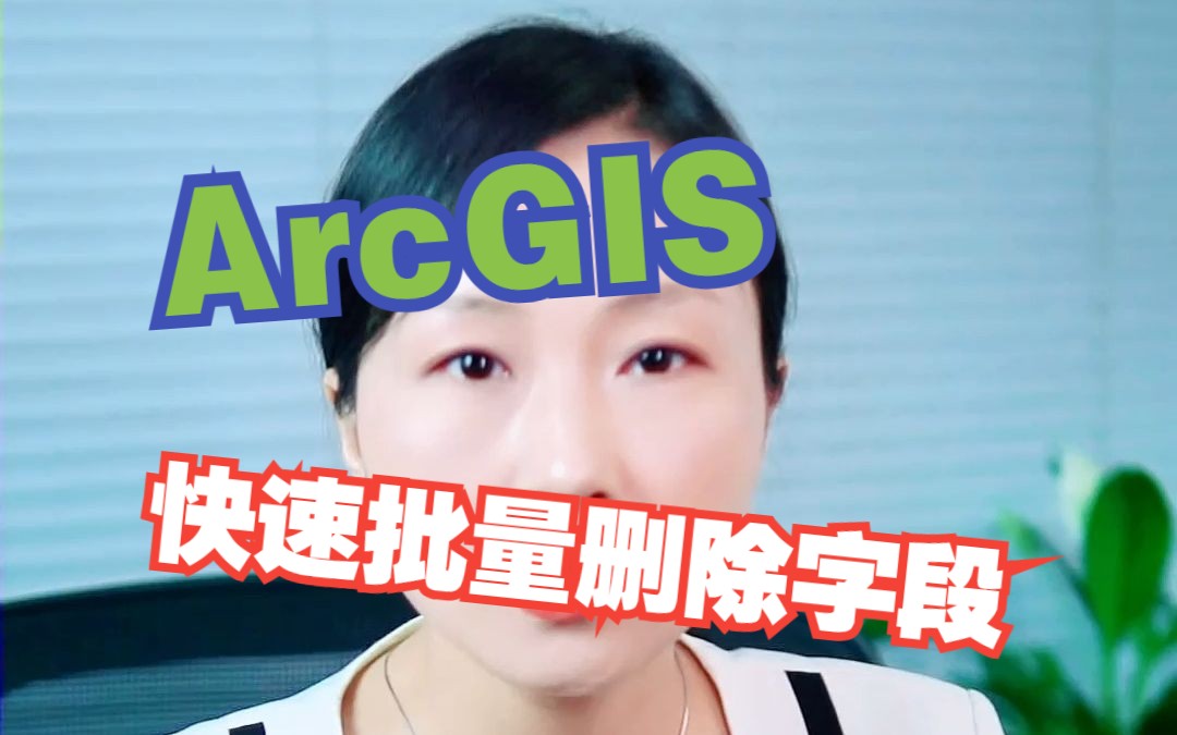 ArcGIS 快速批量删除字段哔哩哔哩bilibili