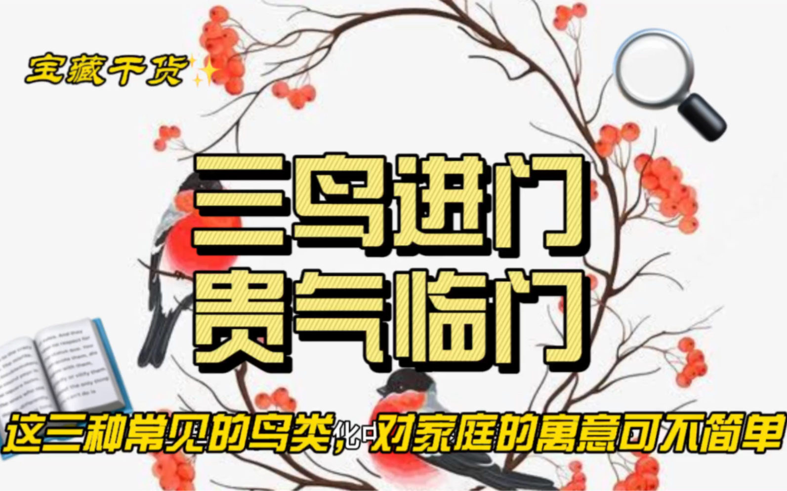 笼子里的鸟 含义图片