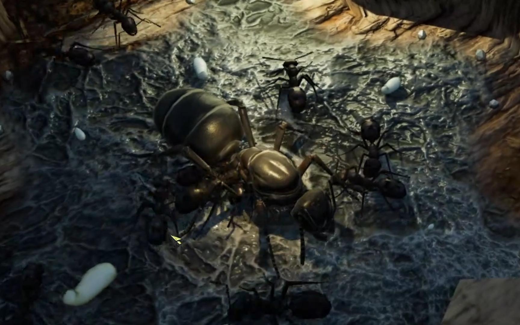 地下蚁国·丝光褐林蚁【极限 挑战】实况1.2-征服