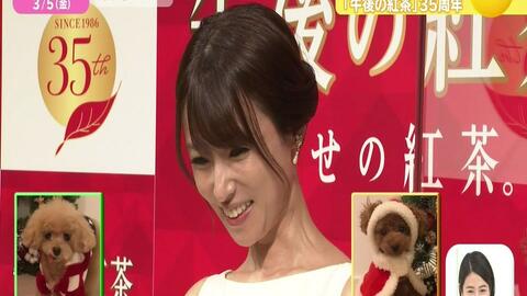 深田恭子x多部未华子x永野芽郁 Uq Mobile Cm 合集 花絮 哔哩哔哩 つロ干杯 Bilibili 深田恭子x多部未华子x永野芽郁 Uq Mobile Cm 合集 花絮 哔哩哔哩 つロ干杯 Bilibili