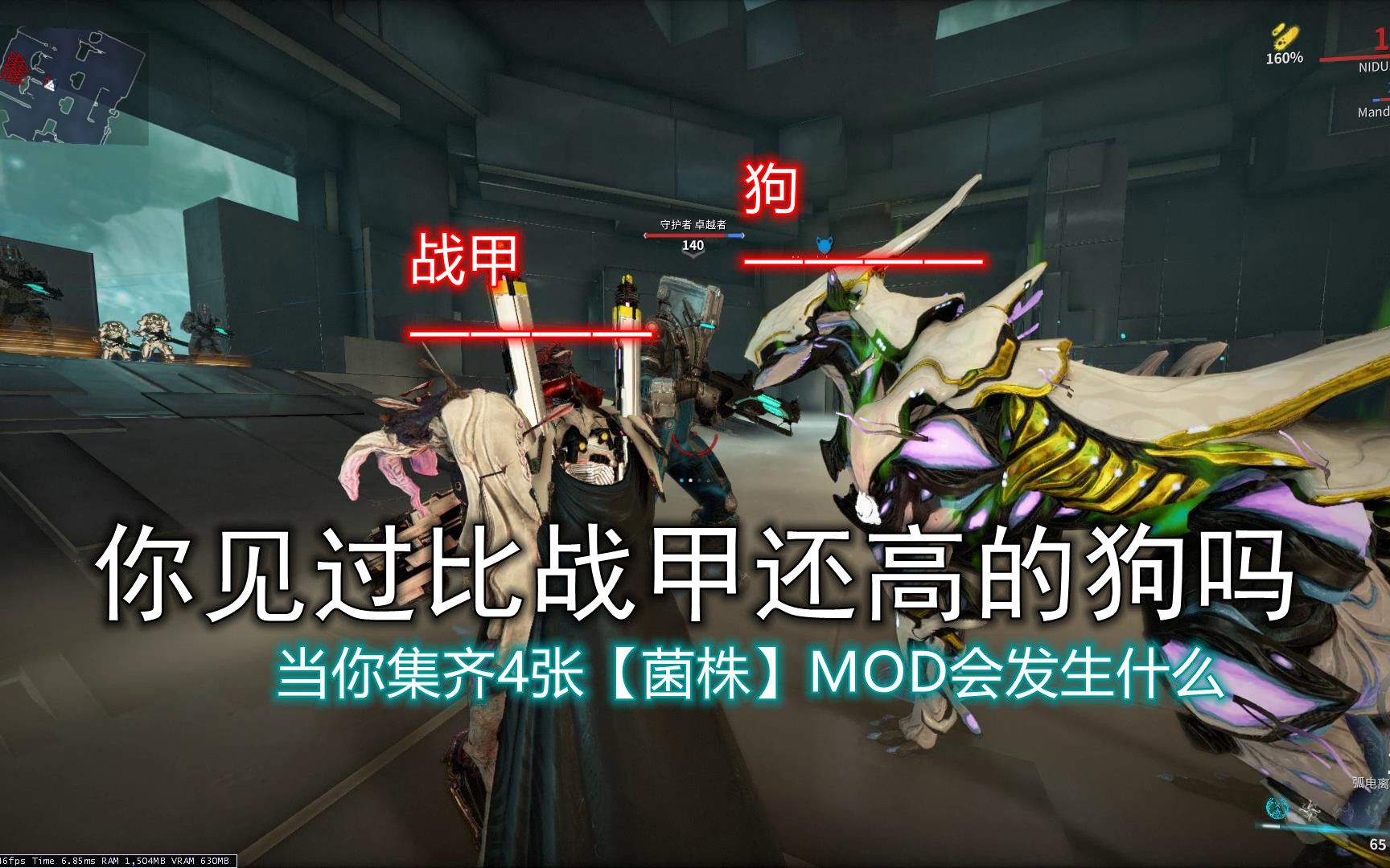 【星际战甲/仓鼠日常】你见过比战甲还高的狗子吗