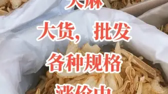 Tải video: 中药材天麻