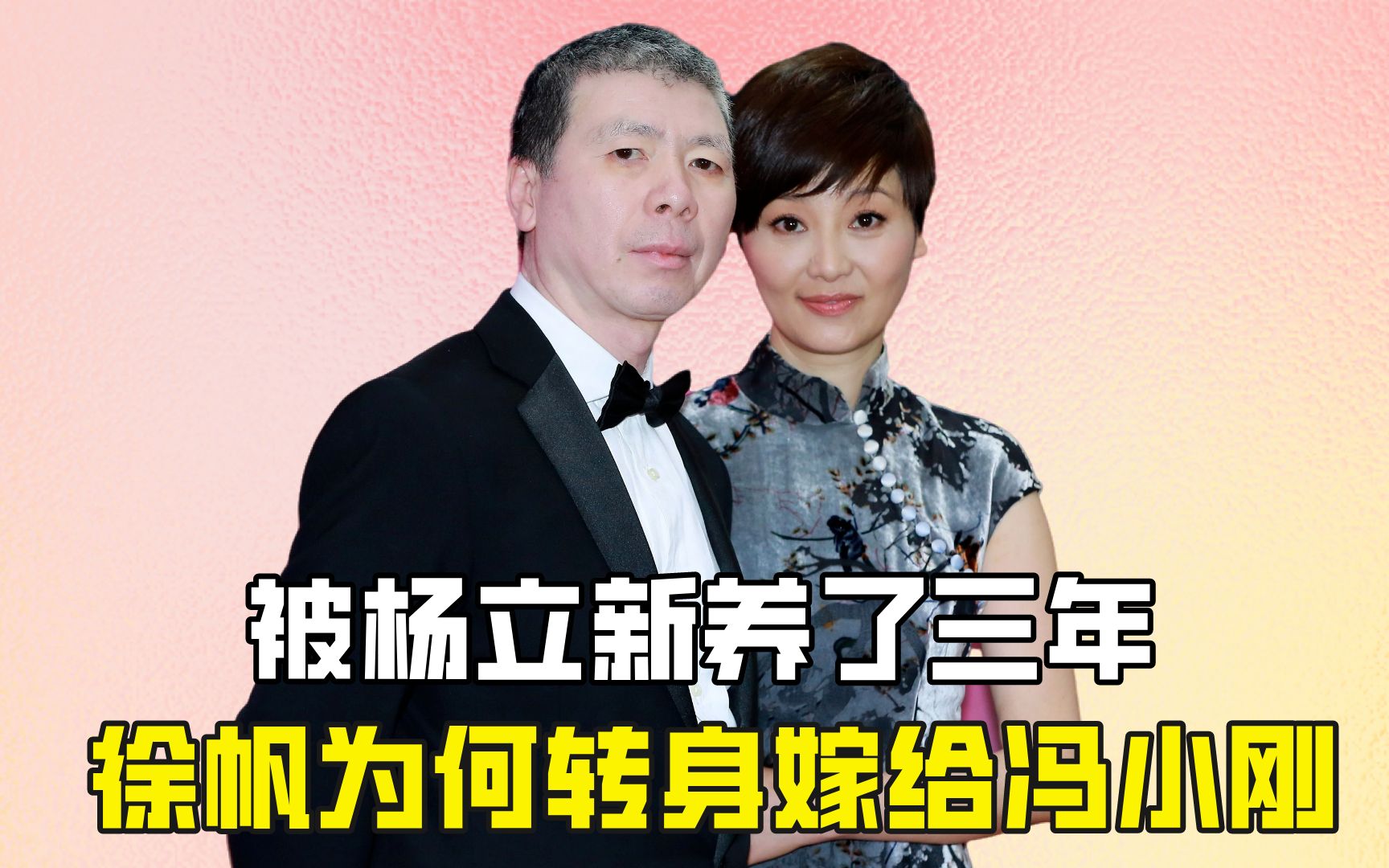 被杨立新养了三年,徐帆为何转身嫁给冯小刚?