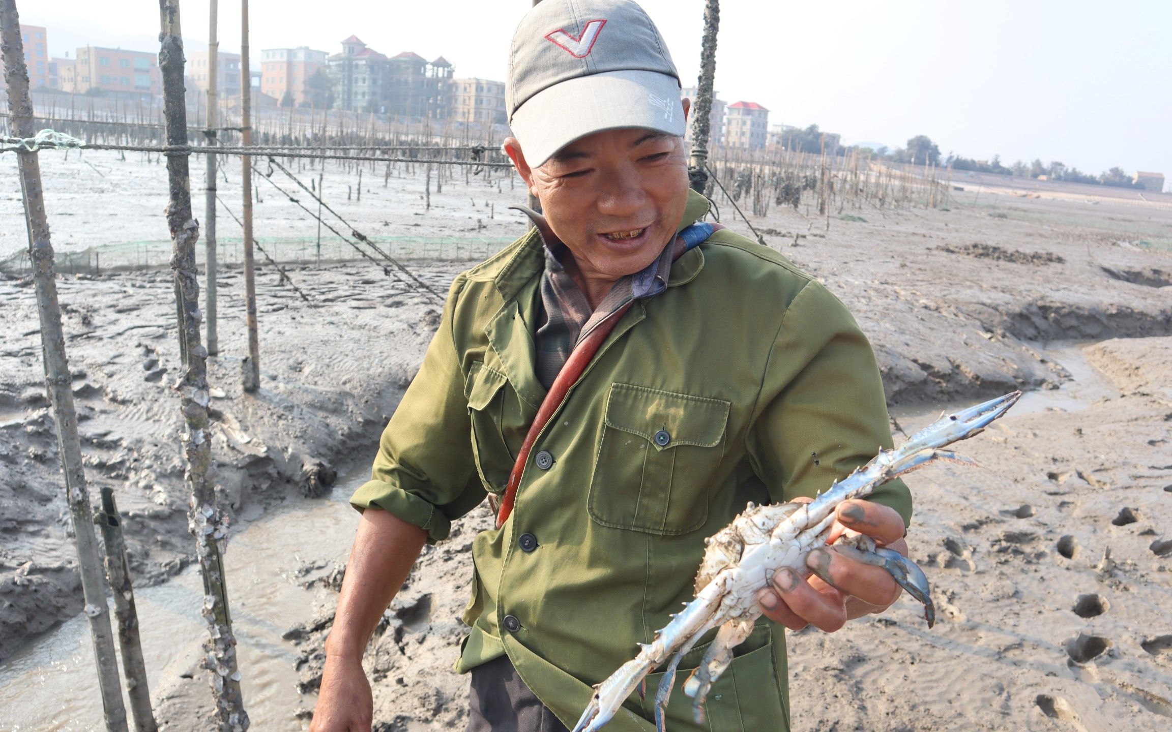 泰叔赶海抓的海鲜卖不掉,背着泰婶一个人偷偷吃,看完才知道原因