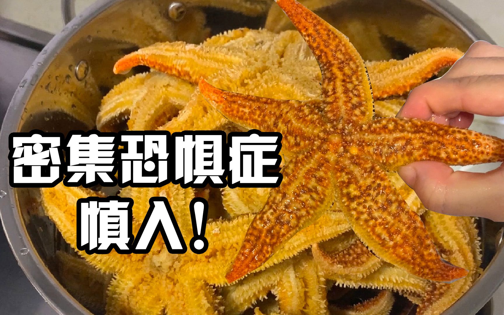 有多少人没吃过海星据说比蟹黄还好吃