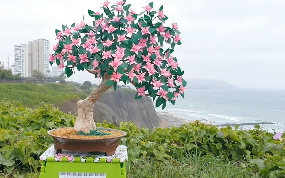 【mariano zavala】三角梅盆栽折纸教程bougainvillea bonsai paper
