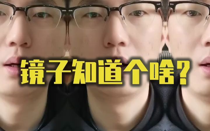 镜子不会“知道”,是你的眼睛让镜子“知道”的.哔哩哔哩bilibili