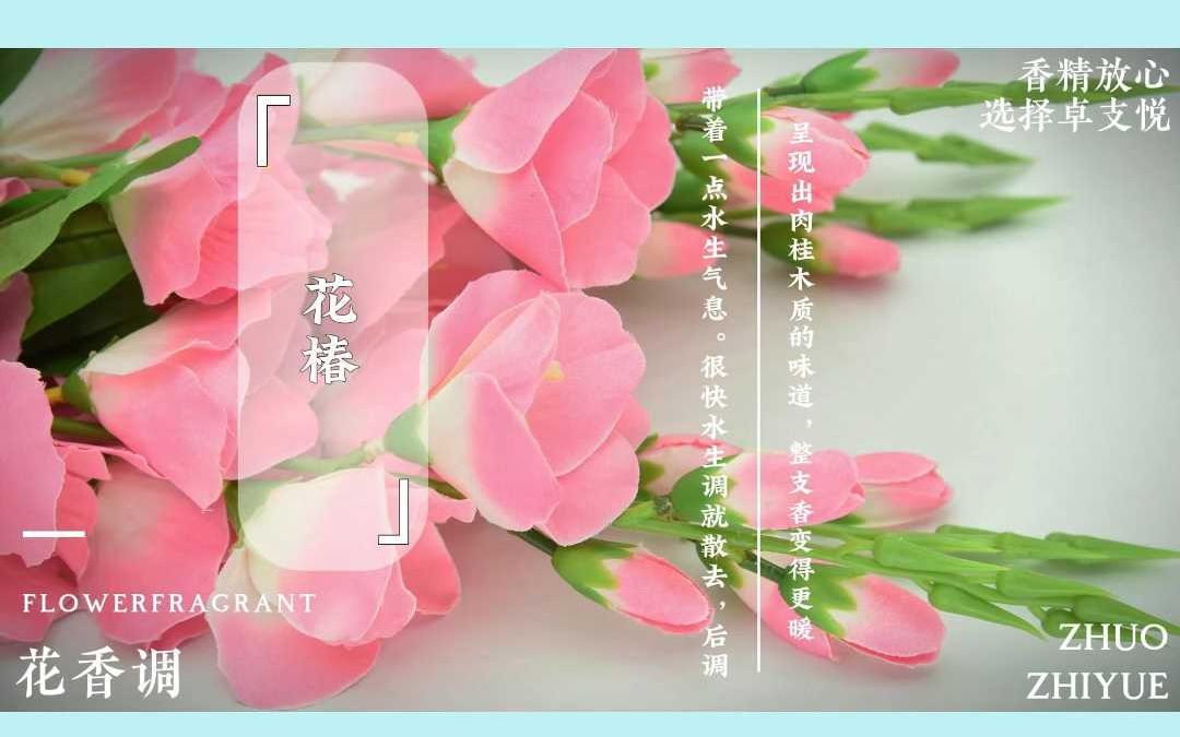 花椿哔哩哔哩bilibili