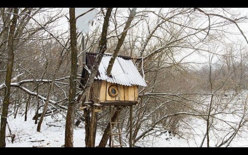 [图]【Forest】住在树屋-在河岸上建了一所房子-完结