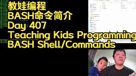 第407天教娃编程 Bash命令简介 哔哩哔哩