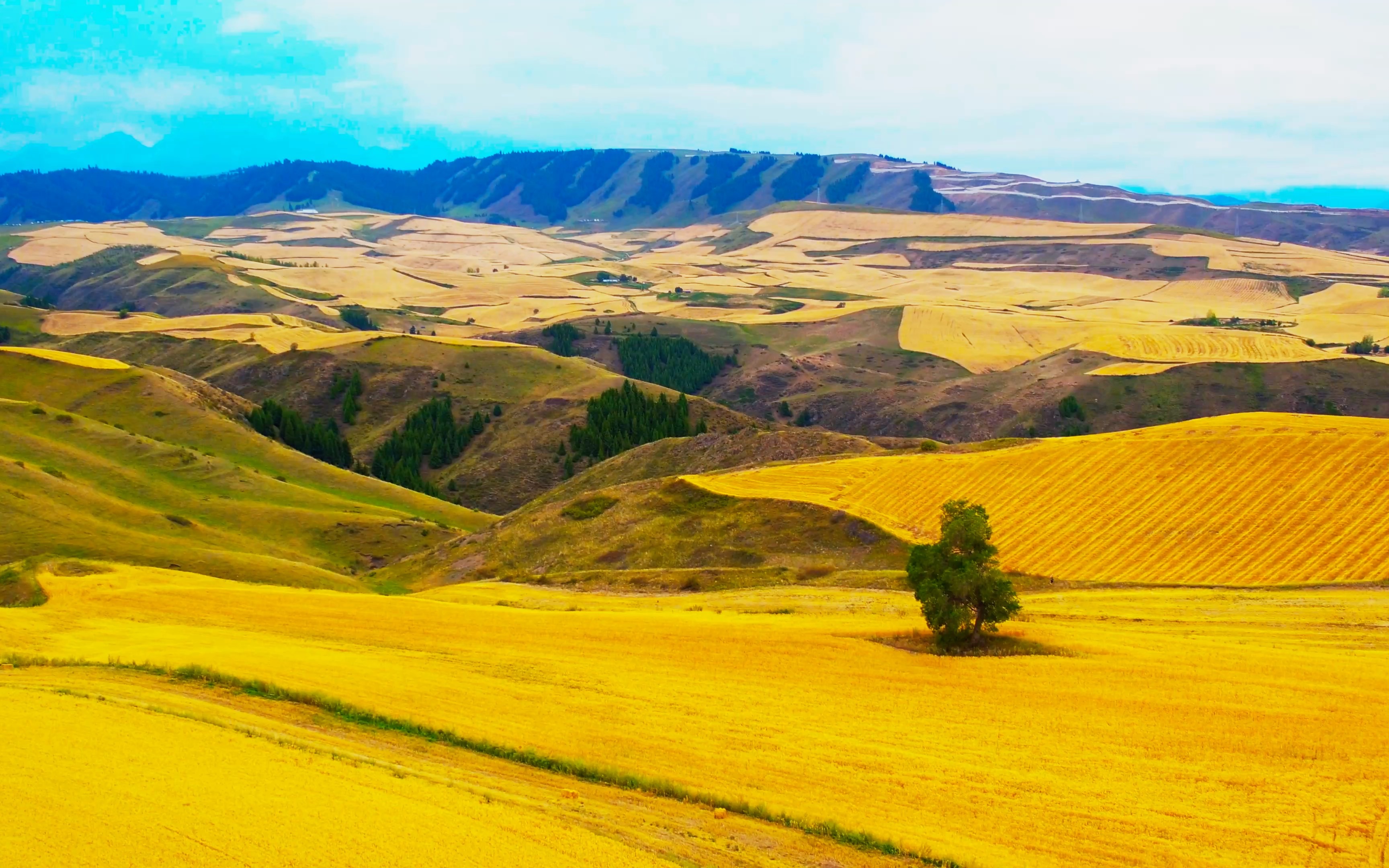 立秋下的江布拉克风景区醇享4k