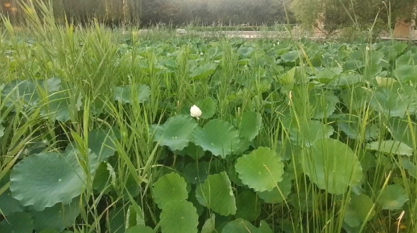 我们总在错过,错过了不该错过的风景,选择了不该选的生活哔哩哔哩bilibili