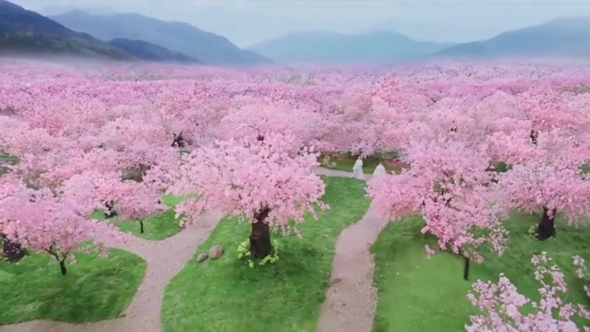 古代空镜孤星手影月亮拿书烛火灵堂桃花林林间穿梭山间飞鸟送嫁队伍