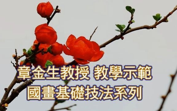 [图]畫梅精華篇 Chinese Painting plum blossom.