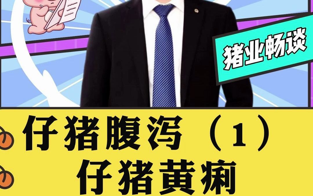 仔猪腹泻之仔猪白痢,也是大肠杆菌引起,又叫迟发性大肠杆菌病哔哩哔哩bilibili