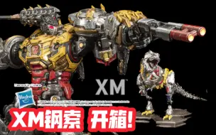 Download Video: b站首发！一见钟情！超帅钢索！XM studios 变形金刚 钢索 开箱！Grimlock【变形金刚】机器恐龙 全球限量399 1：10雕像 简单一看