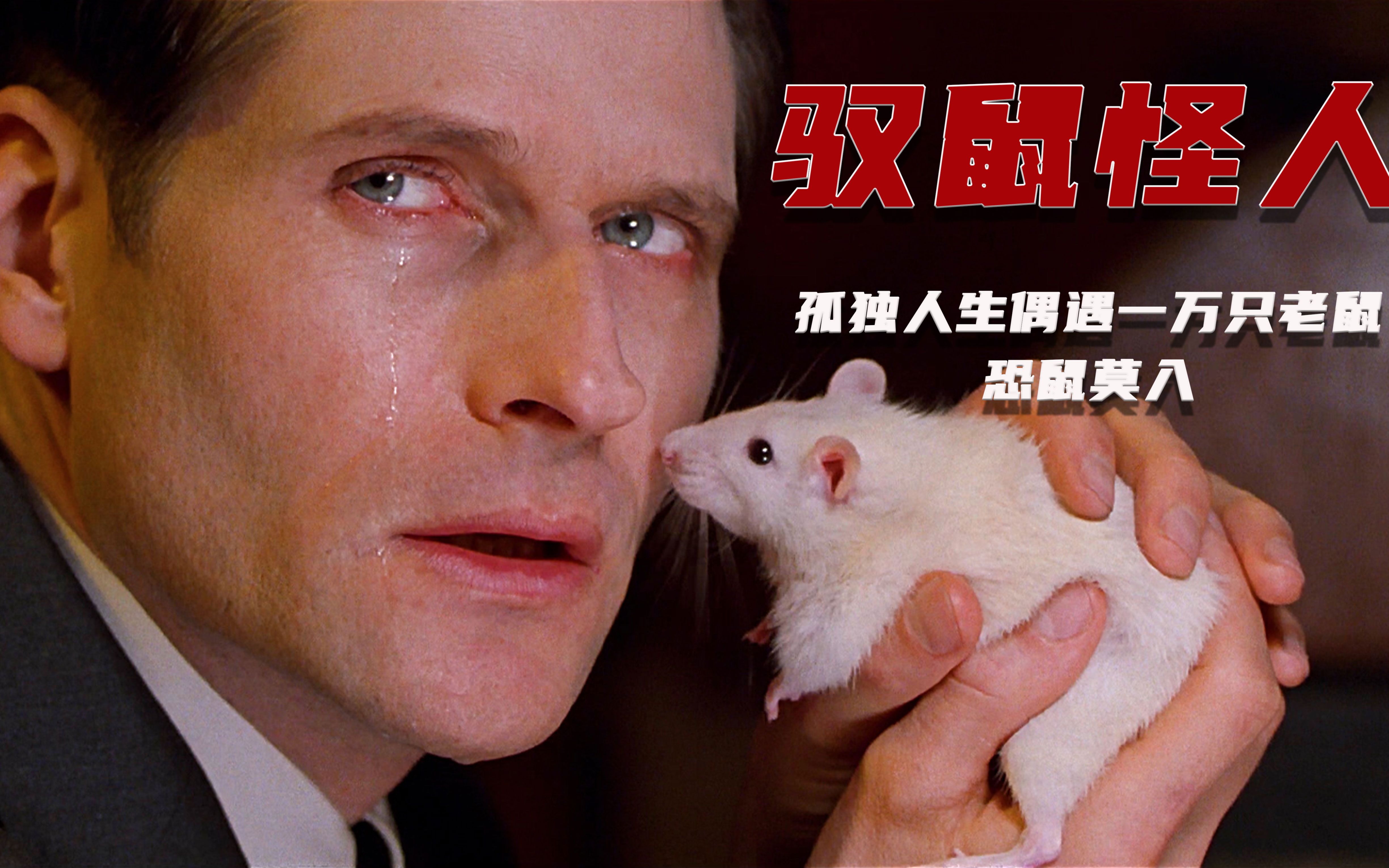 《驭鼠怪人》一个男人跟一万只老鼠的故事_哔哩哔哩 (゜-゜)つロ 干杯