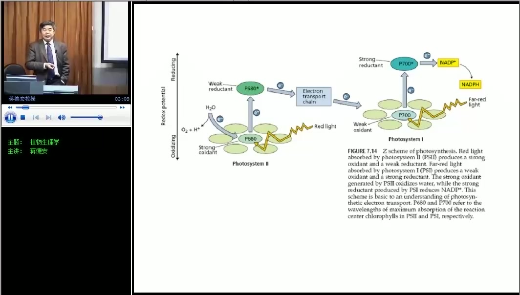 植物生理学视频教学哔哩哔哩bilibili
