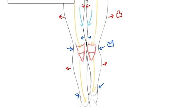 【腿部画法】腿怎么画?干货 分享哔哩哔哩bilibili