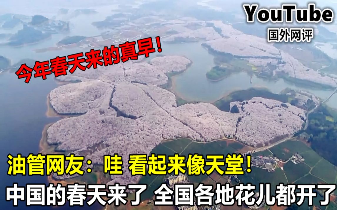 YouTube春天来了!中国各地的花儿都开了!美丽景色引国外网友热议哔哩哔哩bilibili