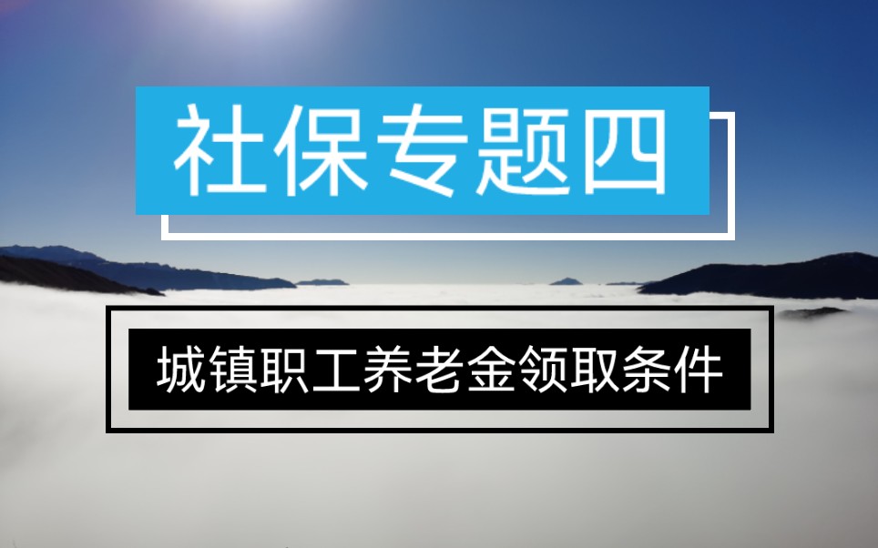 领取养老金需要满足的两个条件是什么?哔哩哔哩bilibili