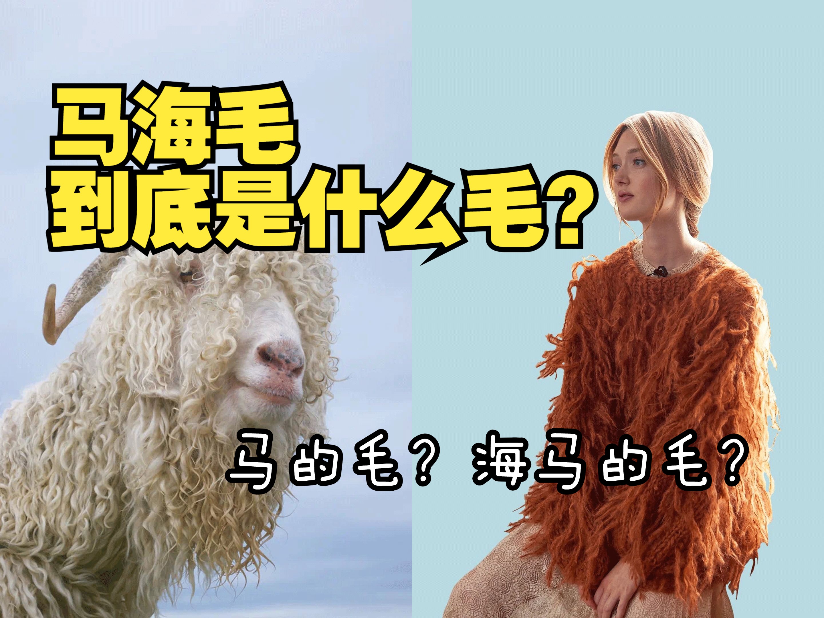 知识分享 | Mohair马海毛到底是什么毛?哔哩哔哩bilibili