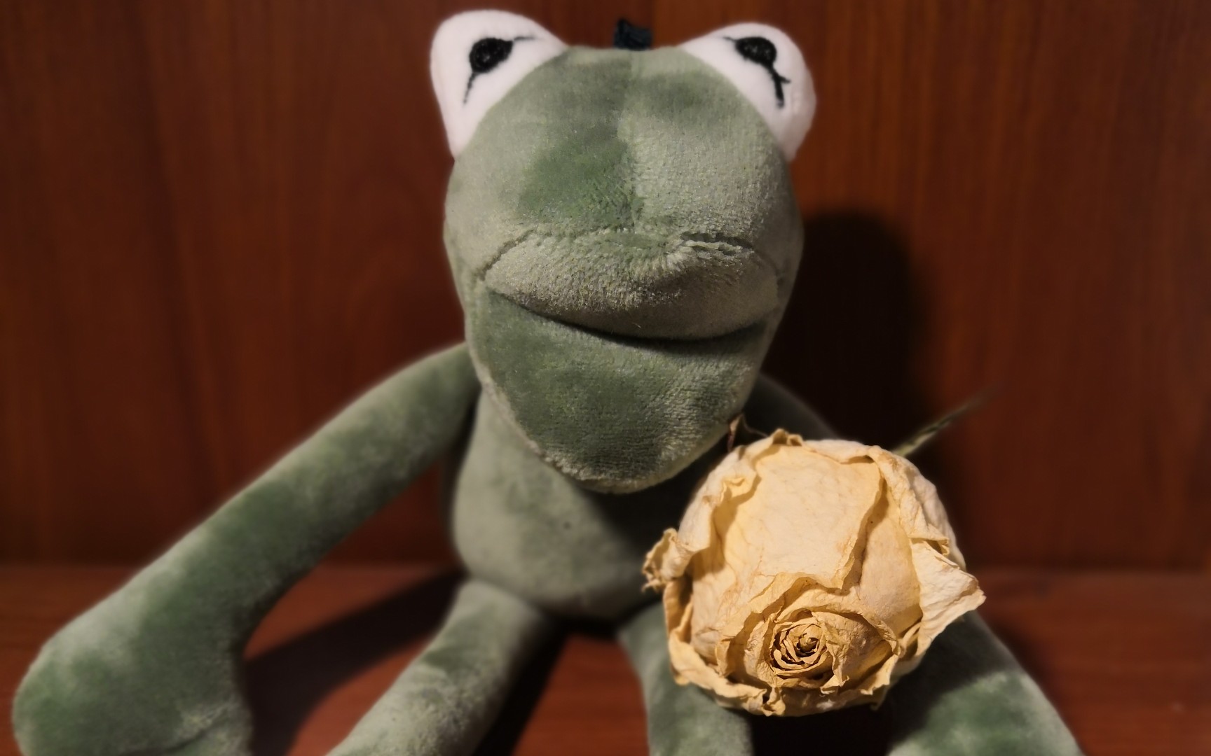 长腿青蛙的健身指导