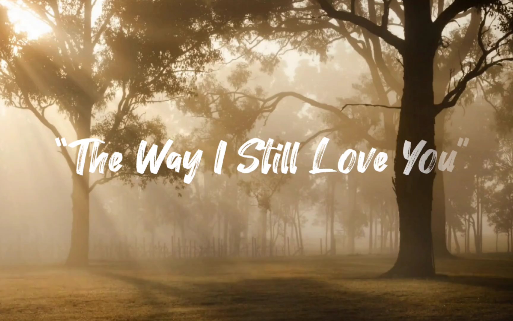 [图]我循环了七百多遍——“The Way I Still Love You”