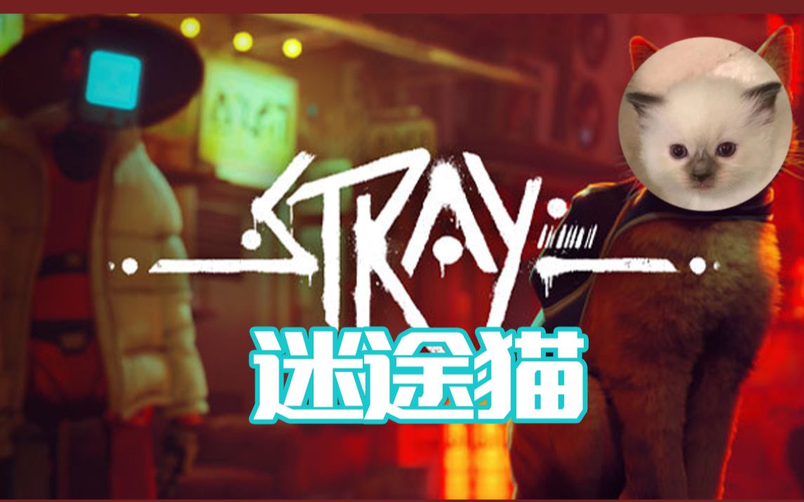 [图]【蛋花】stray迷途猫【猫猫/剧情】完结