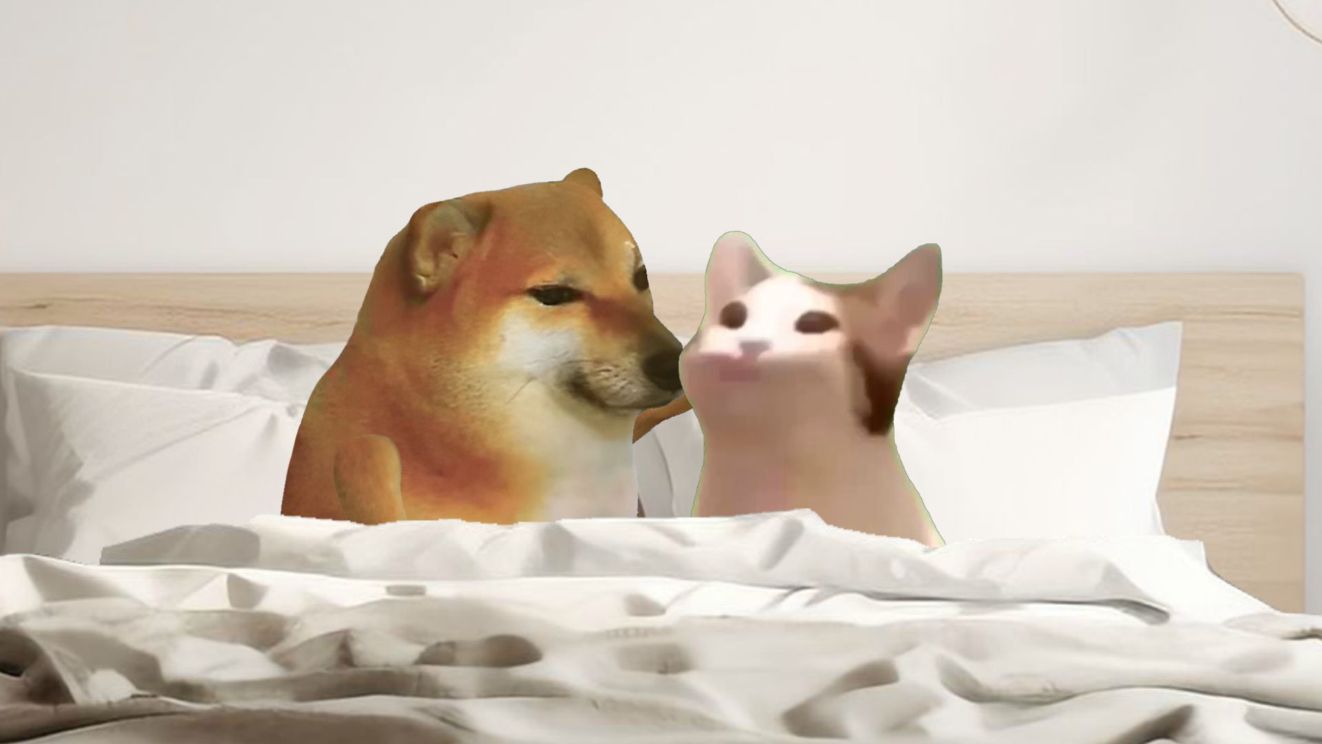 恋爱时,全国男生统一话术