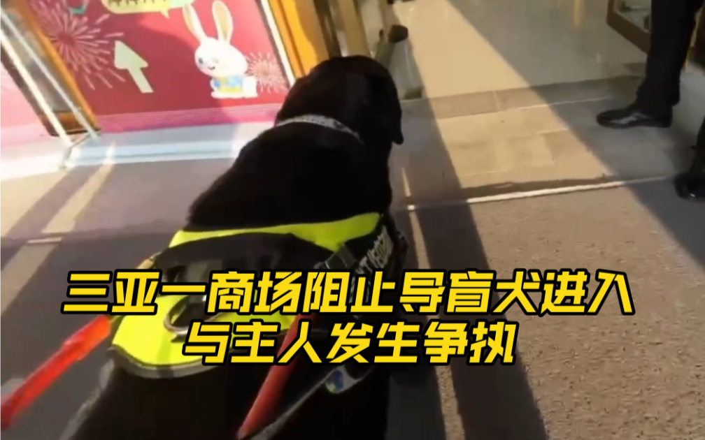 [图]三亚一商场阻止导盲犬进入与主人发生争执还叫嚣：不能因为视力不好想怎样就怎样？