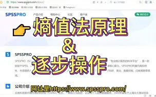 下载视频: 【指标赋权】熵值法原理&逐步操作详解_在线工具SPSSPRO