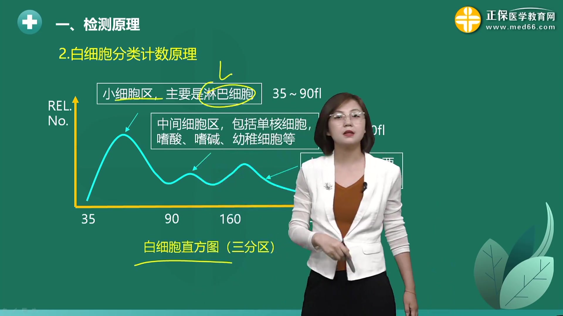 [图]初级检验士\临床检验技士（105）-临床检验基础【2023年】全