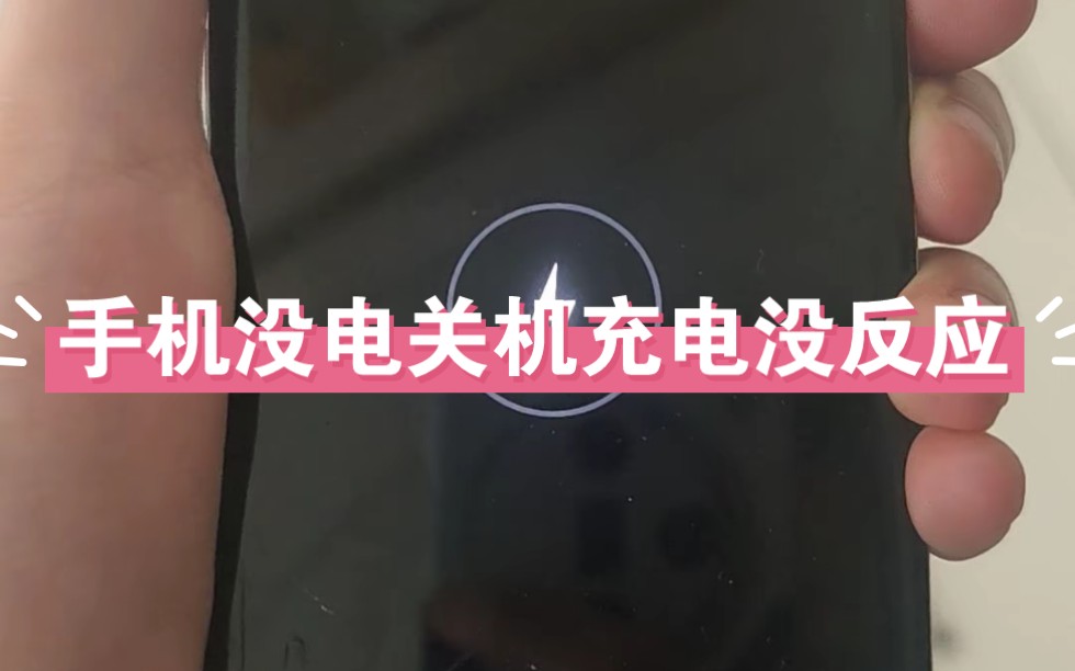 手机没电自动关机后充电没反应了,不开机也不显示充电图标,换了各种充电头都不行