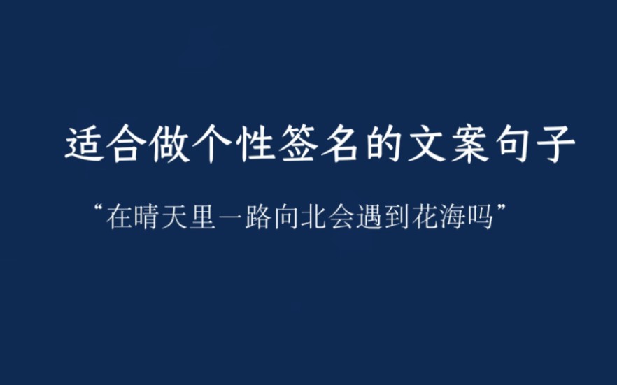 『在晴天里一路向北会遇到花海吗』适合做个性签名的文案语句哔哩哔哩bilibili