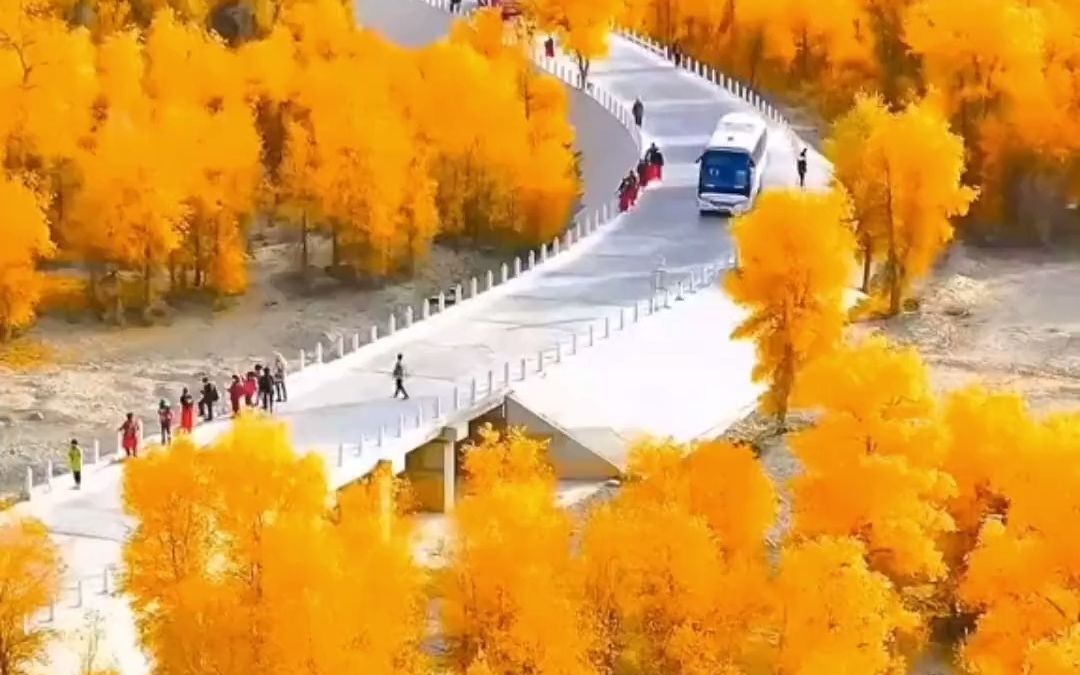 [图]一念秋风起，一念秋雨落，一念秋思长