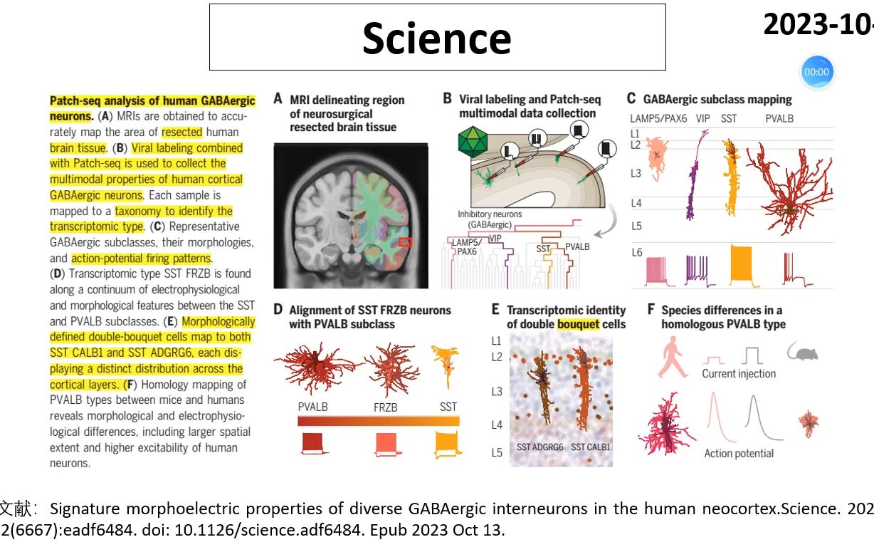 Science—人类新皮层中间能神经元的精准分类哔哩哔哩bilibili