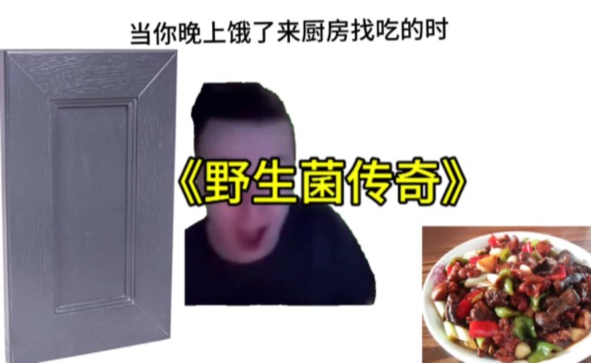 《当你晚上饿了来厨房找吃的》斯拉夫抽象meme:哔哩哔哩bilibili