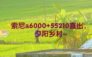 Download Video: 索尼a6000+55210直出，夕阳乡村~