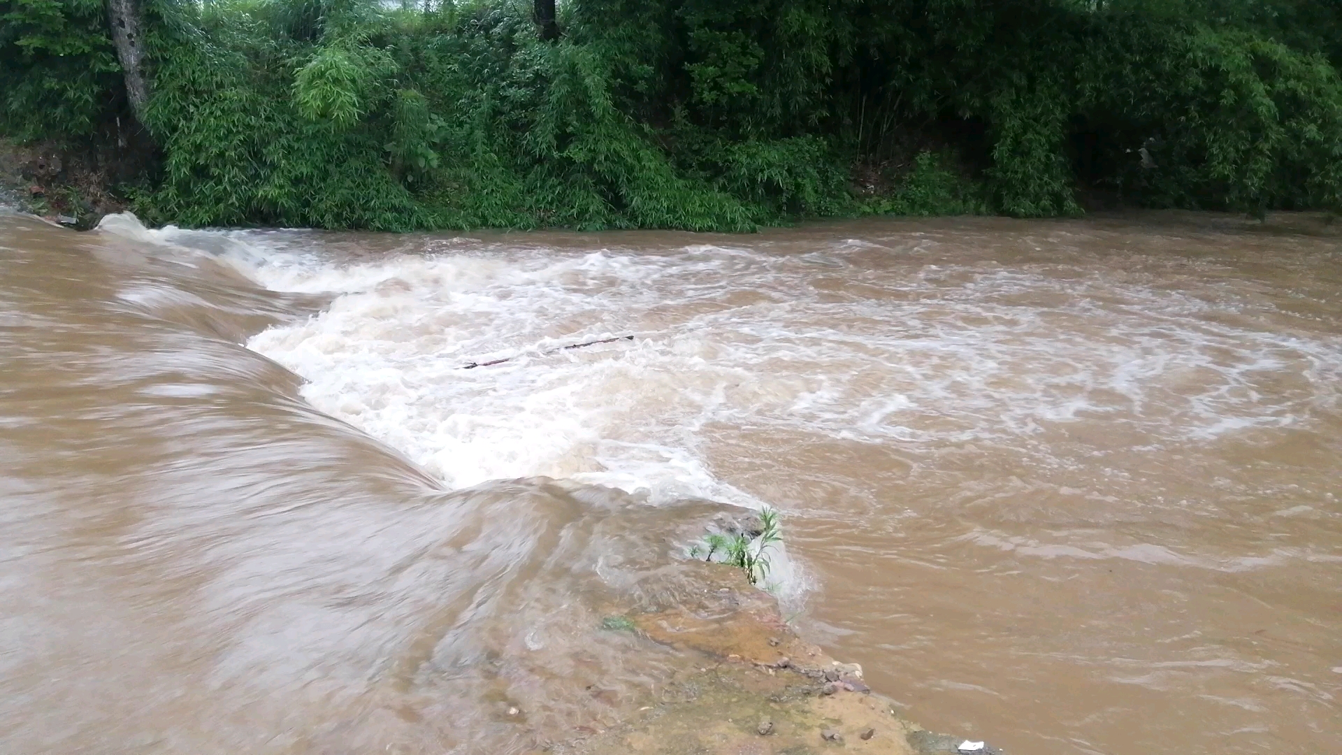 五月汛期河水上涨94