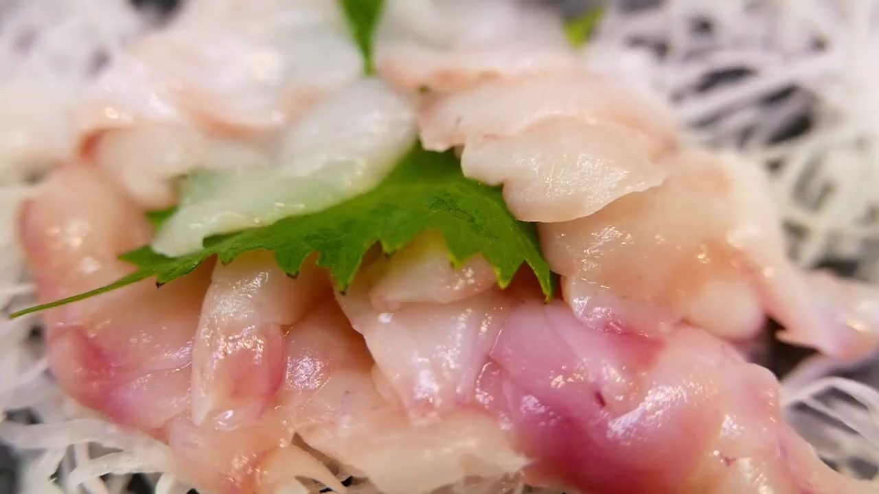 吃河豚我就服日本人,吃的如此大胆,河豚刺身_哔哩哔哩_bilibili