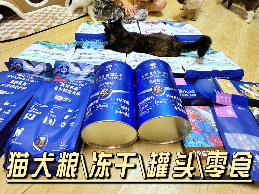 为1500+猫免费体检的品牌,它猫犬全产品测评哔哩哔哩bilibili