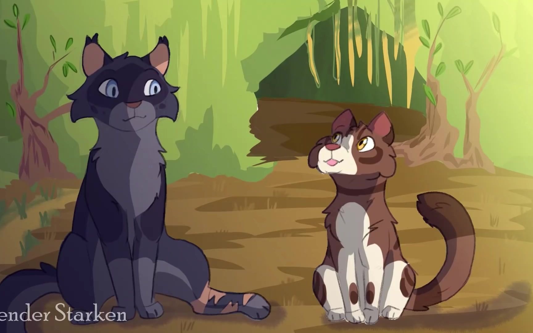 猫武士旧森林的雷族巫医猫healersdilemma