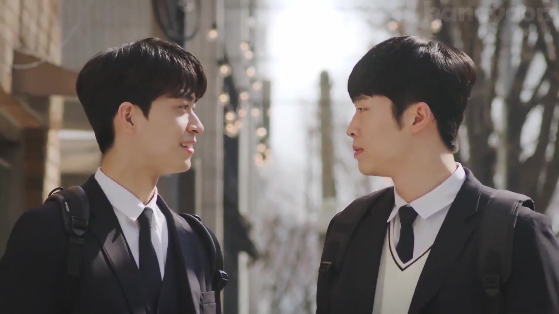 双向暗恋你的目光所及之处微虐