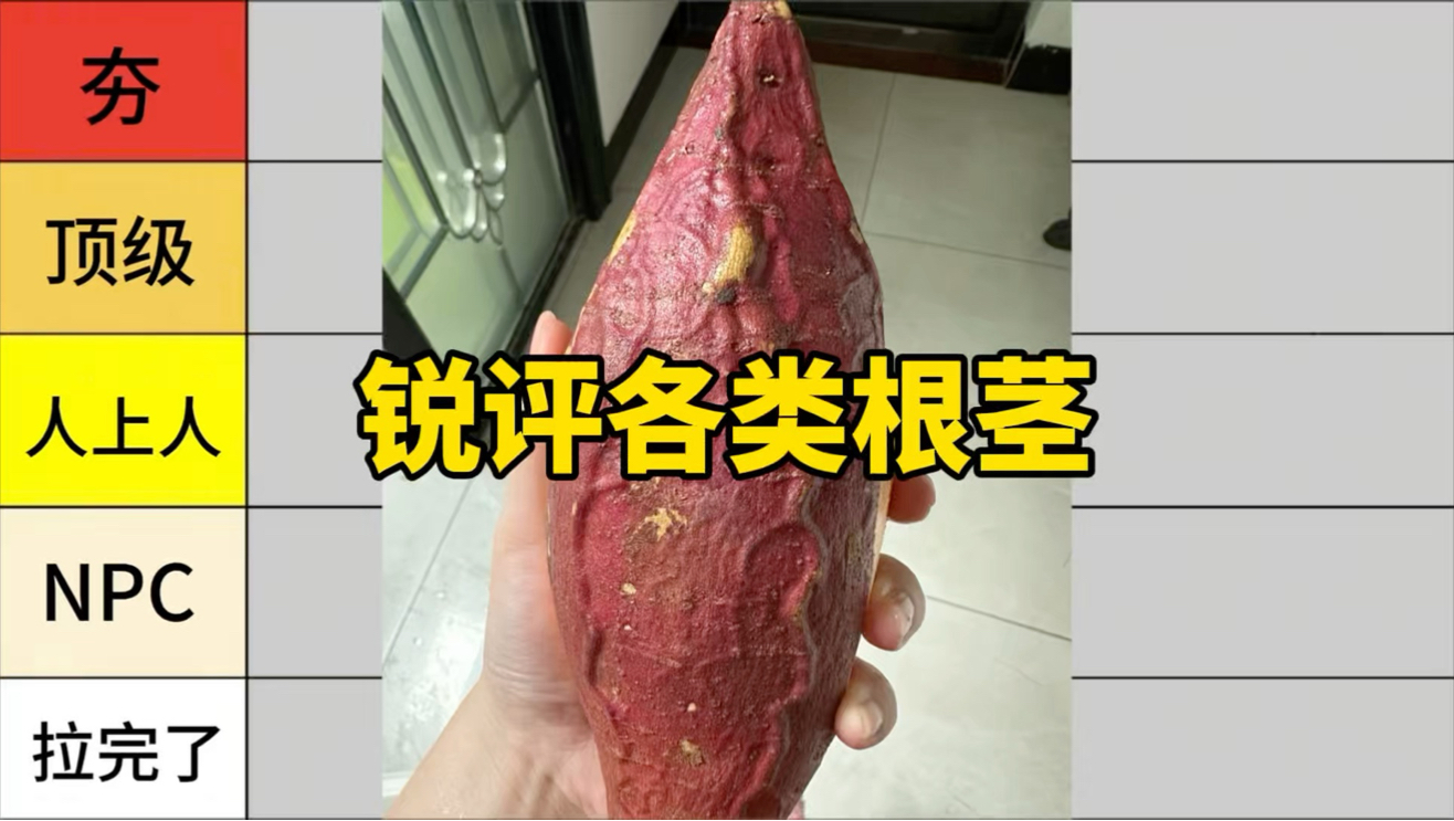 从夯到拉，锐评各类根茎