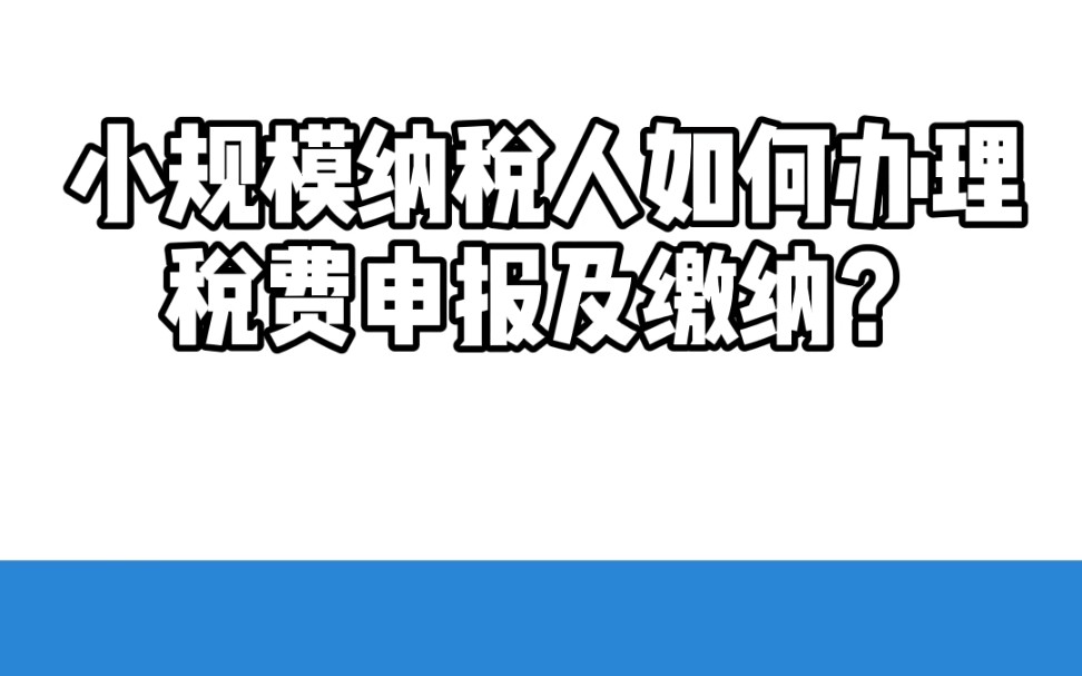 小规模纳税人如何办理税费申报及缴纳哔哩哔哩bilibili